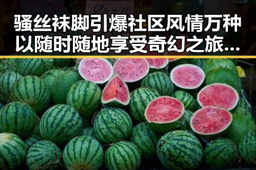 骚丝袜脚引爆社区风情万种 以随时随地享受奇幻之旅的犬夜叉3精彩不断